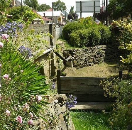 Bridge structure above creek and vegetation