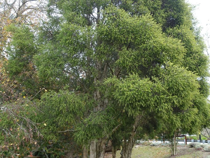 DSC02475.JPG